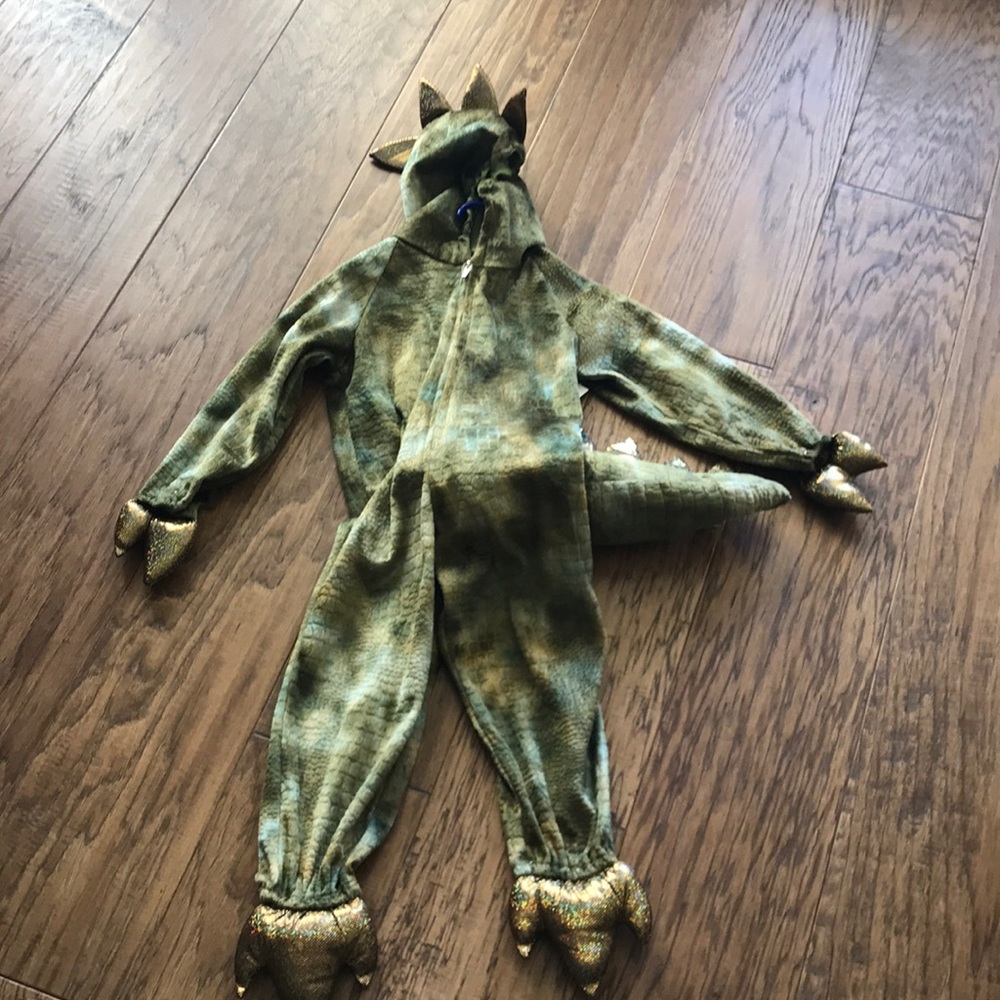 NWT Dinosaur Costume